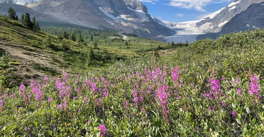 Columbia Icefield: Guided Glacier Hike - Gear that makes you safer, plus what you must bring
