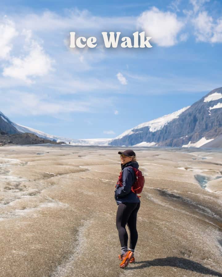 Columbia Icefield, Skywalk, Crowfoot Glacier, and Lakes Tour - Peyto Lake: The Turquoise Wolf-Head View That Lives on Your Feed