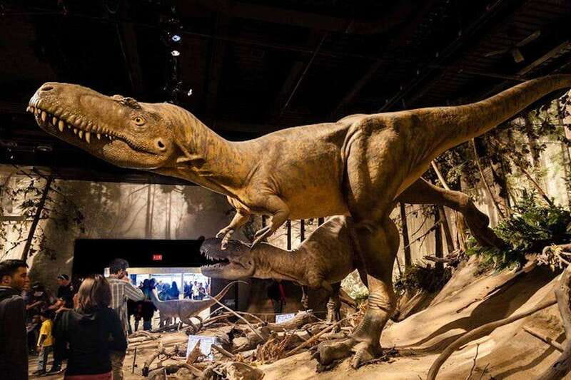 Day of Dinosaurs and Hoodoos From Calgary to the Badlands - Key things I’d plan for on this Drumheller Badlands day