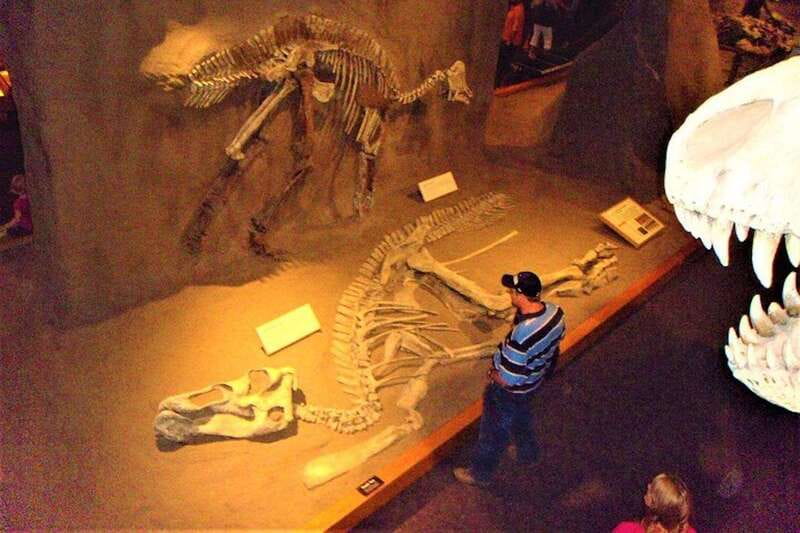 Day of Dinosaurs and Hoodoos From Calgary to the Badlands - A 10-hour Badlands sweep from Calgary, with just enough time at each stop