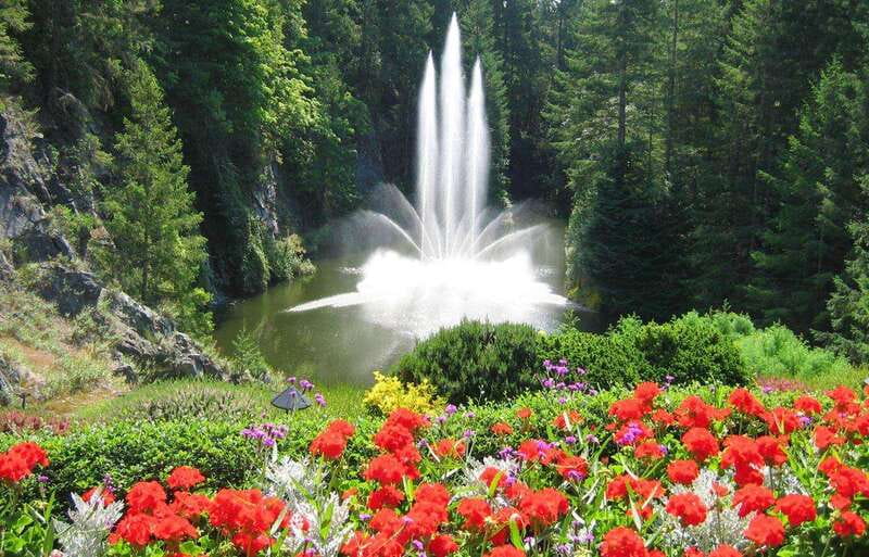 Day Trip from Vancouver to Victoria and Butchart Gardens - BC Ferries Tsawwassen to Swartz Bay: The Part You’ll Actually Remember