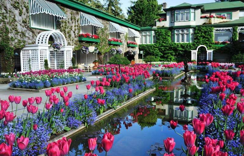 Day Trip from Vancouver to Victoria and Butchart Gardens - Price and Value: Why $247 Can Make Sense (or Not)