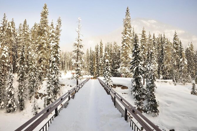 Day Trip: Lake Louise, Moraine Lake, Emerald Lake, Banff - Marble Canyon Light Walks and Fossils When Water Freezes