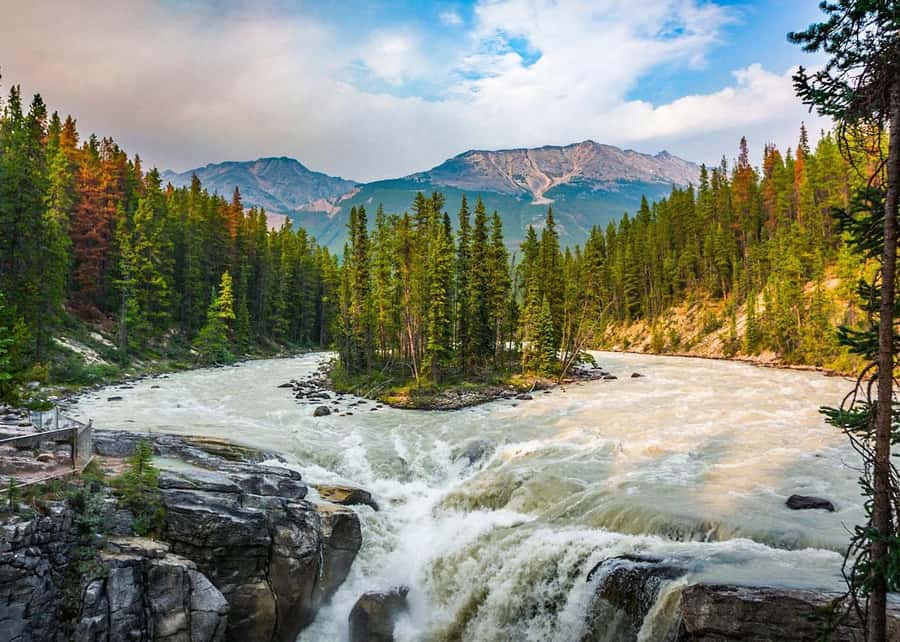 Day Trip to Jasper + Banff with picnic and drinks - Key Highlights You’ll Actually Care About