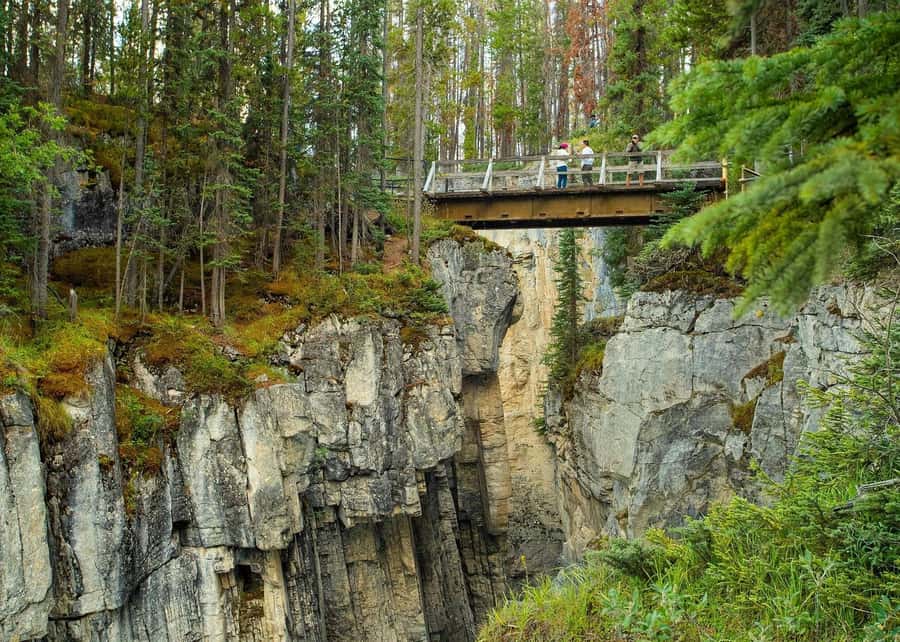Day Trip to Jasper + Banff with picnic and drinks - Sunwapta Falls: A Thunder Stop With Built-In Time