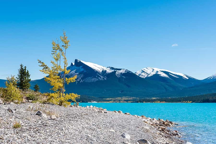 Day Trip to Jasper + Banff with picnic and drinks - Abraham Lake Picnic: The Wild Shoreline Meal You Remember