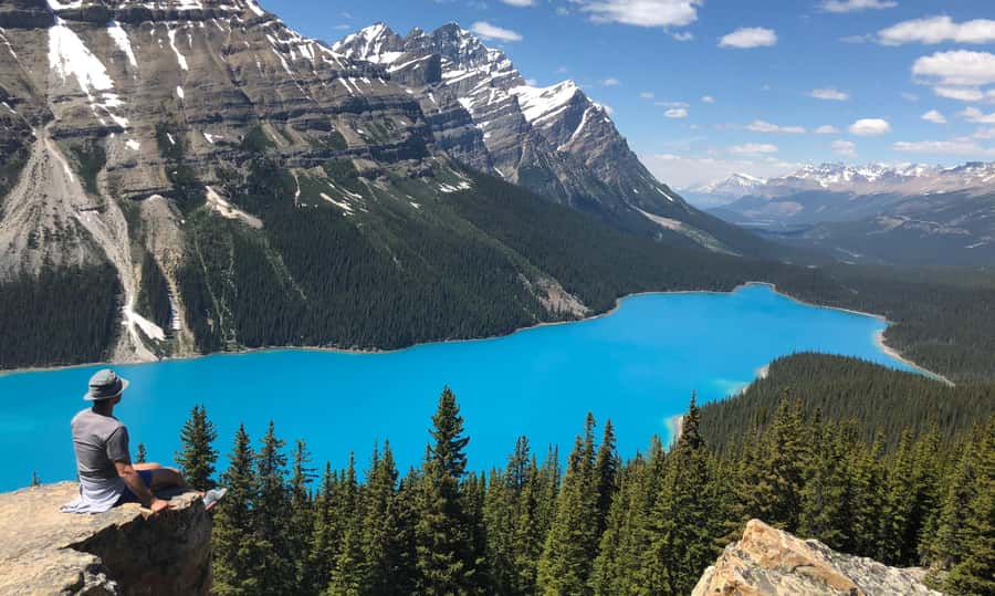 Day Trip to Jasper + Banff with picnic and drinks - Peyto Lake, Plus Bow Lake and Crowfoot Glacier Views on the Way Back