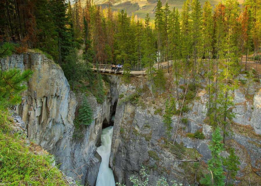 Day Trip to Jasper + Banff with picnic and drinks - Wildlife Spotting and Photography: How This Tour Actually Helps
