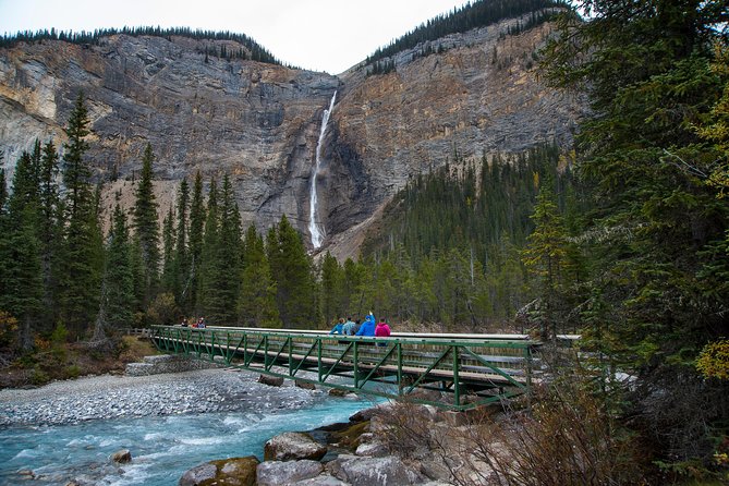 Discover Grizzly Bears from Banff - How to prepare: weather, what to wear, and making the most of chairlift time