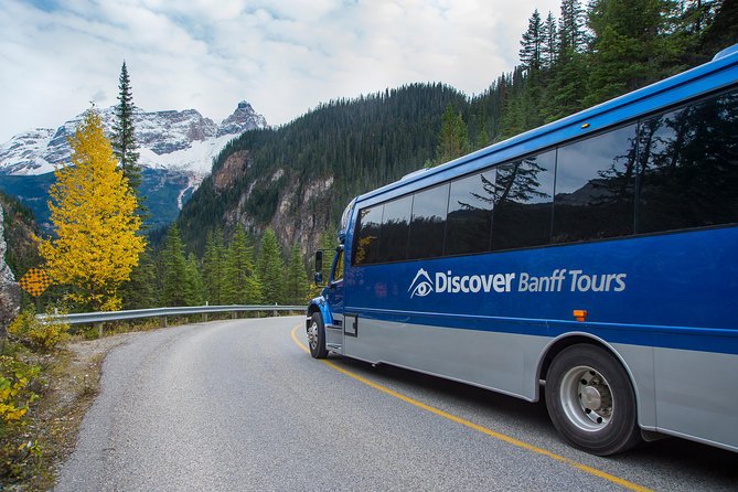 Discover Grizzly Bears from Banff - Value check: why this combo day can be worth it