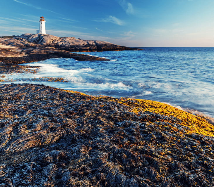 Discover Peggy's Cove: Private Journey from Halifax - Arriving at Peggy’s Cove: lighthouse photos and real time to roam