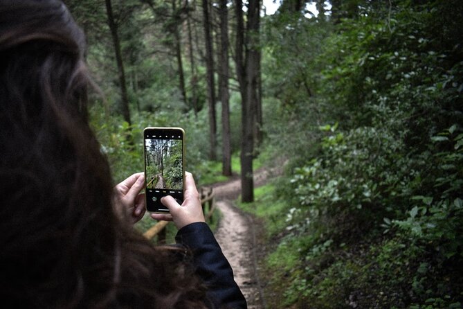 Discover the Lake Agnes Tea House Trail with an Audio Nature Tour - How the app works: download once, then let GPS guide your timing