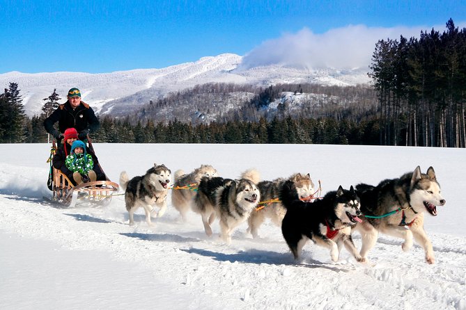 Dogsled Diable Adventure in Mont-Tremblant - Diable Dogsled in Mont-Tremblant: the big picture in 90 minutes