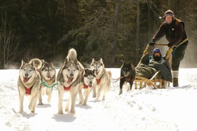 Dogsled Diable Adventure in Mont-Tremblant