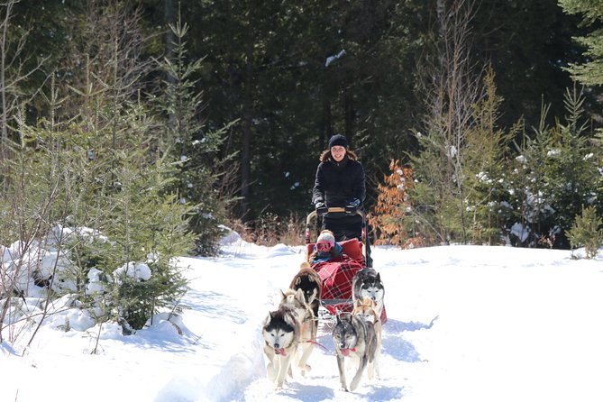 Dogsled Diable Adventure in Mont-Tremblant - Price check: is $233.91 good value for this 1.5-hour outing?
