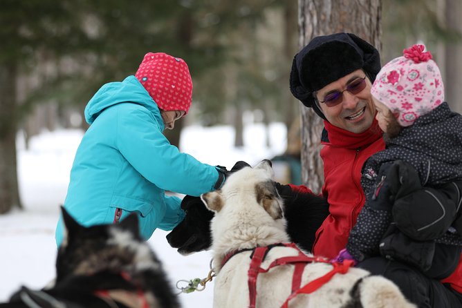 Dogsled Diable Adventure in Mont-Tremblant - Group size, roles, and who should choose passenger vs driver