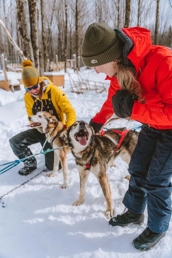 Dogsledding Upper Laurentians near Mont-Tremblant - Key moments that make this dogsledding stand out