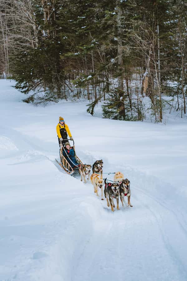 Dogsledding Upper Laurentians near Mont-Tremblant - What you might see when conditions allow