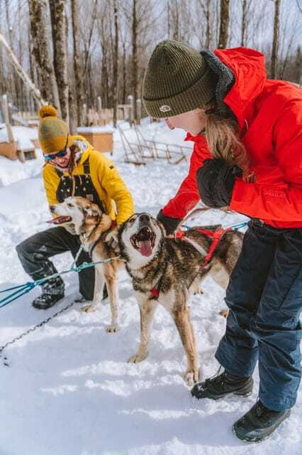 Dogsledding Upper Laurentians near Mont-Tremblant - Should you book this Upper Laurentians dogsledding?
