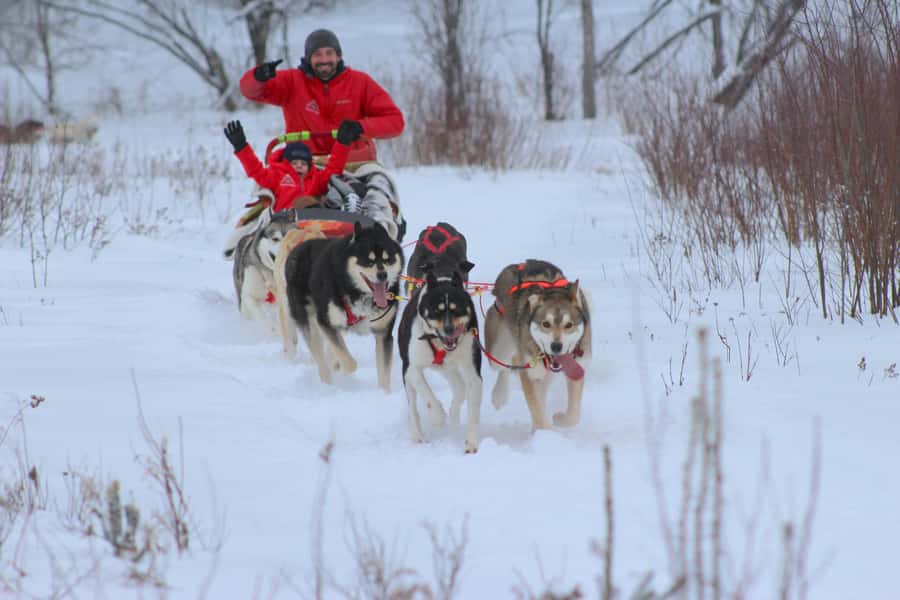 Dogsledding Valley Adventure near Mont-Tremblant - Key highlights you should know before you go