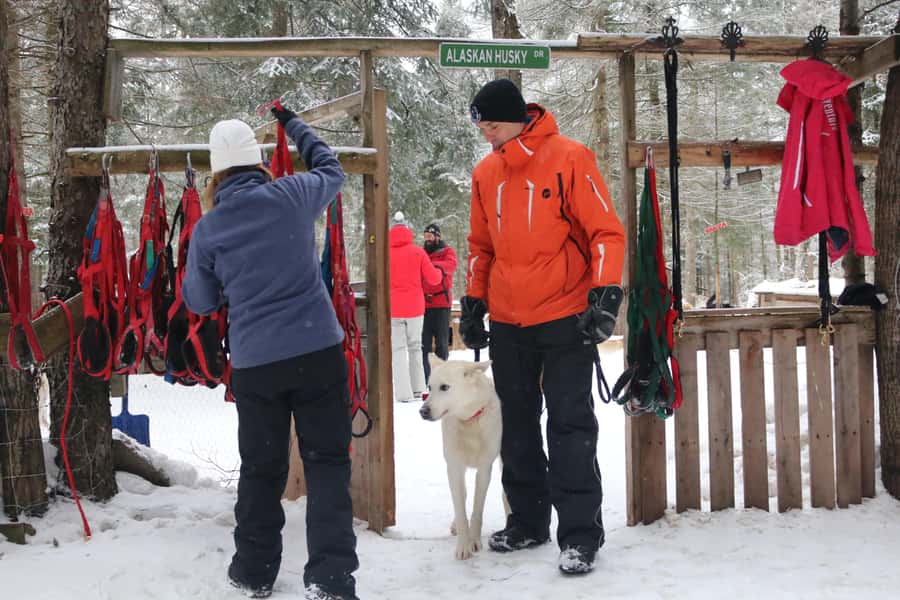 Dogsledding Valley Adventure near Mont-Tremblant - Hitting the Trail: What the 1h15 Ride Feels Like