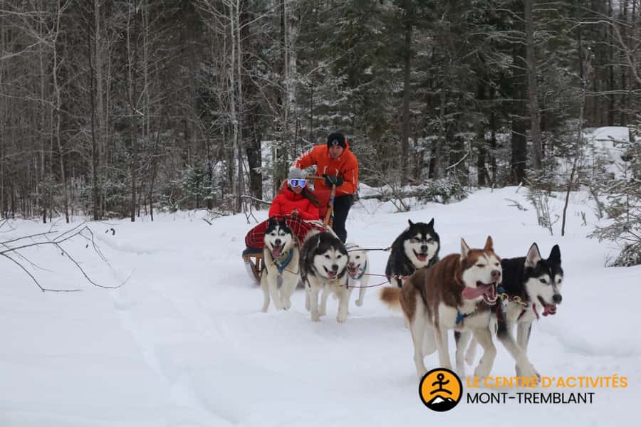 Dogsledding Valley Adventure near Mont-Tremblant - Included vs. Not Included, and What That Means for Your Budget