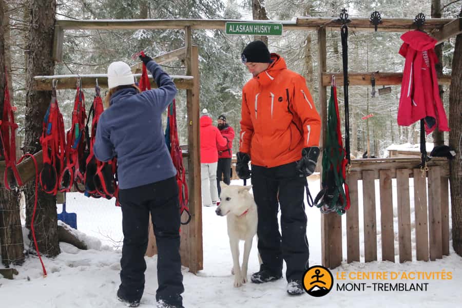 Dogsledding Valley Adventure near Mont-Tremblant - What to Wear and Bring So You Stay Comfortable