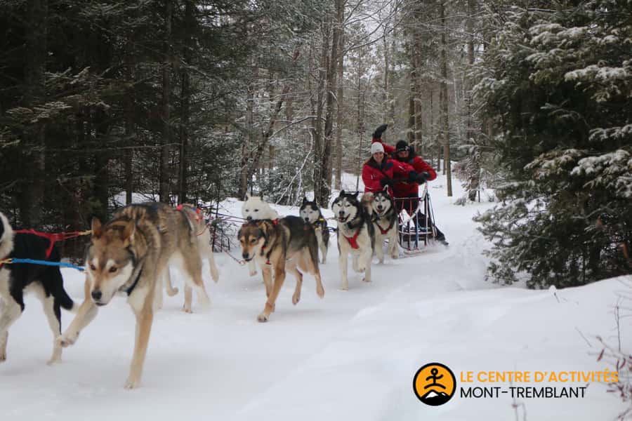 Dogsledding Valley Adventure near Mont-Tremblant - Who This Dogsled Adventure Fits Best (and Who Should Skip It)
