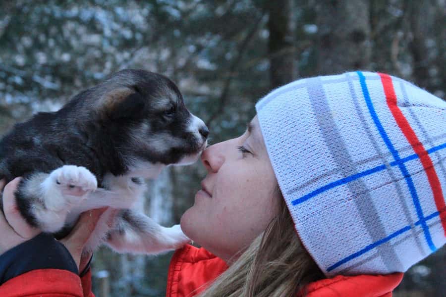 Dogsledding Valley Adventure near Mont-Tremblant - Price, Timing, and Group Size: Getting the Most From a 2-Hour Trip