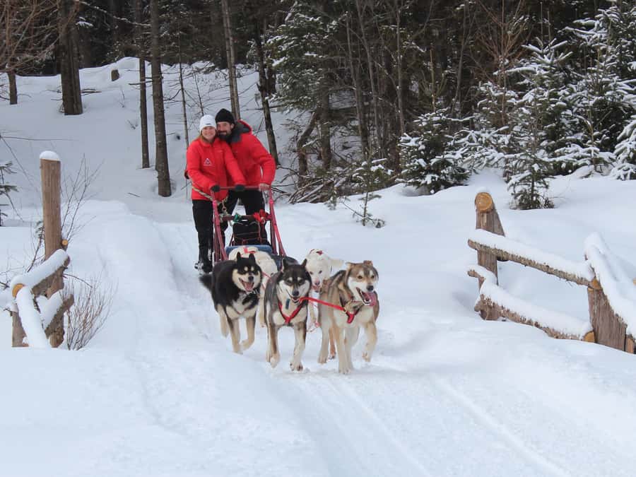 Dogsledding Valley Adventure near Mont-Tremblant - How Dogsled Driving Works When You Have Never Done It Before
