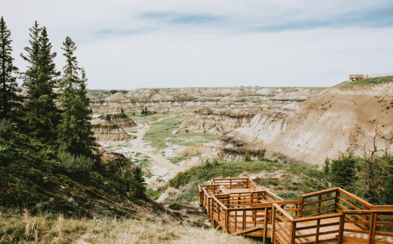 Drumheller: Dinosaurs, Canyons, & Hoodoos Day Tour - Hoodoo Trail: 30 minutes of erosion artistry