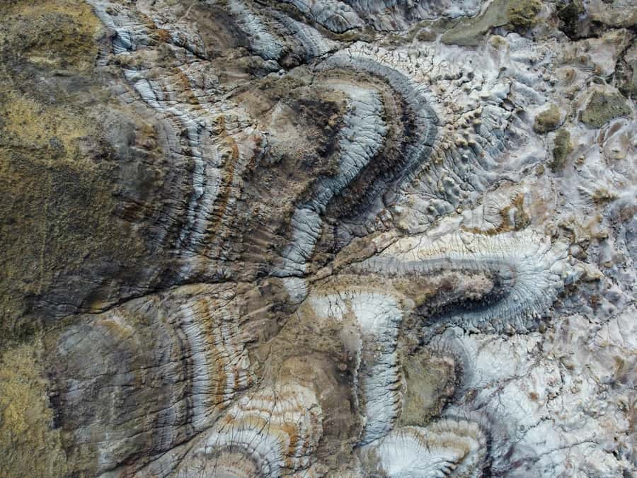 Drumheller: Dinosaurs, Canyons, & Hoodoos Day Tour - The bus comfort and guide influence on a full day