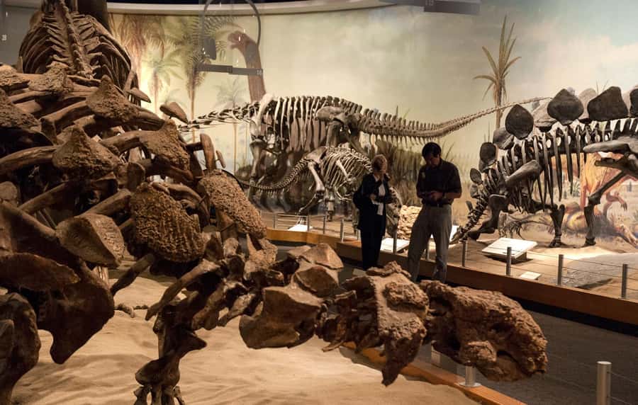 Drumheller: Dinosaurs, Canyons, & Hoodoos Day Tour - Price and value: what $119 really covers