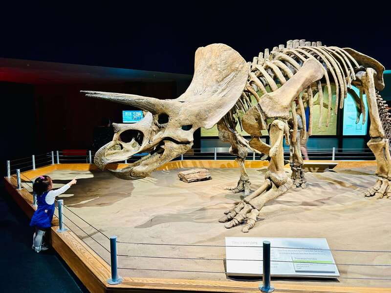 Drumheller Full-day Private Sightseeing Tour - Key things that make this Drumheller tour work