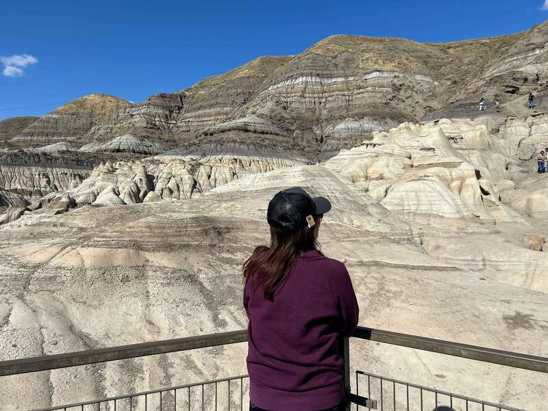 Drumheller Full-day Private Sightseeing Tour - Private van logistics from Calgary: timing and comfort