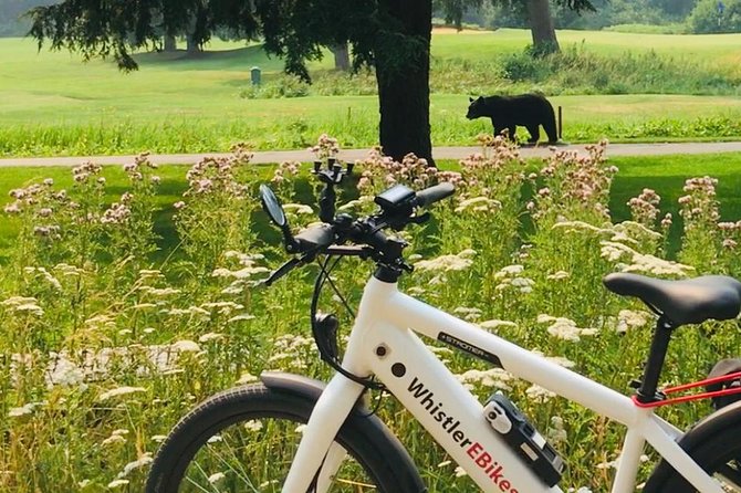 eBike Adventure in Whistler - Key things to know before you pedal