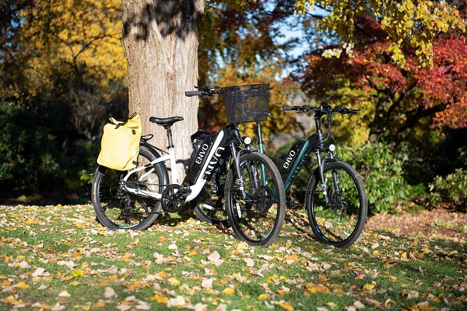 eBike Rentals in Kelowna - Lakefront and Mission Creek: The Routes People Keep Recommending