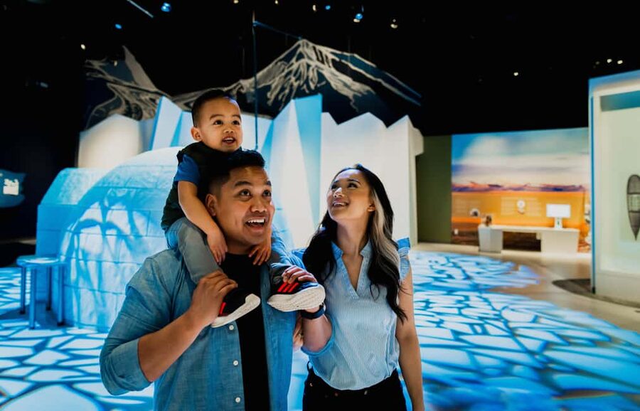 Edmonton: TELUS World of Science General Admission Ticket - Why TELUS World of Science feels like a full day, not a quick stop