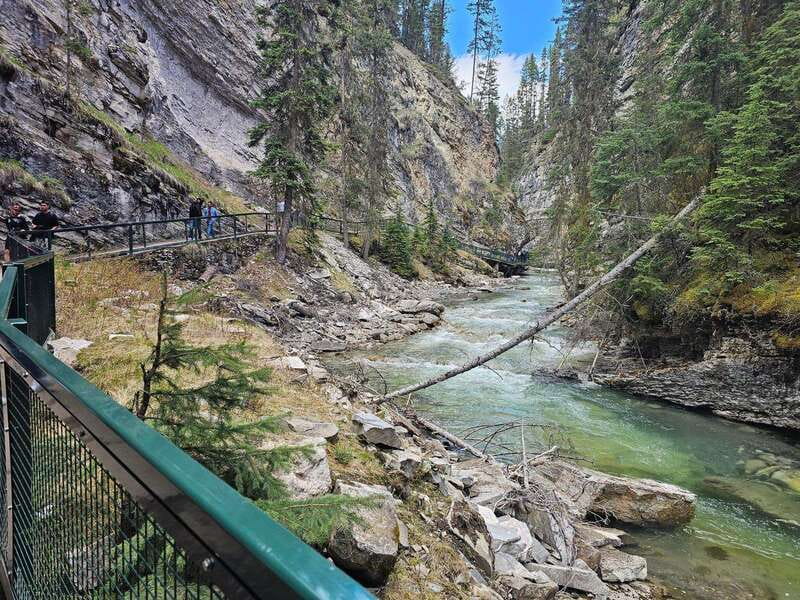 Emerald Lake, Lake Louise, Johnston Canyon & Banff Tour SUV - Emerald Lake: turquoise calm with time to look