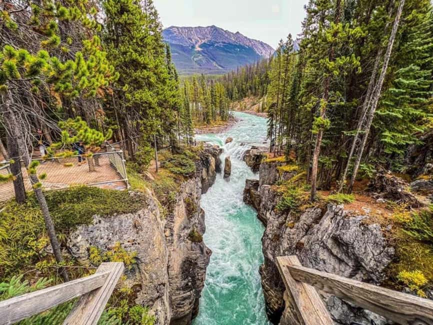 Emerald Lake, Lake Louise, Johnston Lake & Banff Gondola - Pickup from Calgary, Banff, or Canmore, then a comfortable ride all day