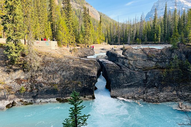 Emerald Lake,Natural Bridge, Wapta Falls & Takakkaw Falls in Yoho - Key highlights before you go
