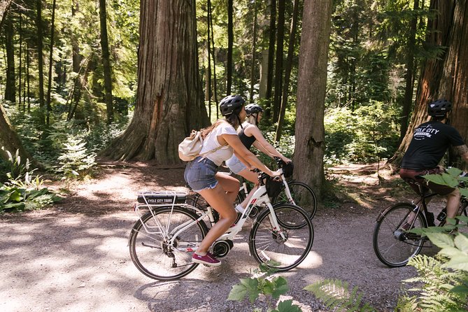 Epic Electric Bike Tour by Cycle City Tours - Stanley Park and the Seawall, From Totem Poles to 600-Year Cedars