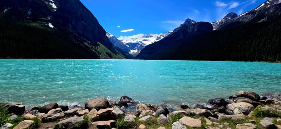 Explore 9 Iconic Banff Spots in 1 Epic Day!(Pax 12/Group) - Peyto Lake: Quick Stop, Big Payoff (With a Short Walk)