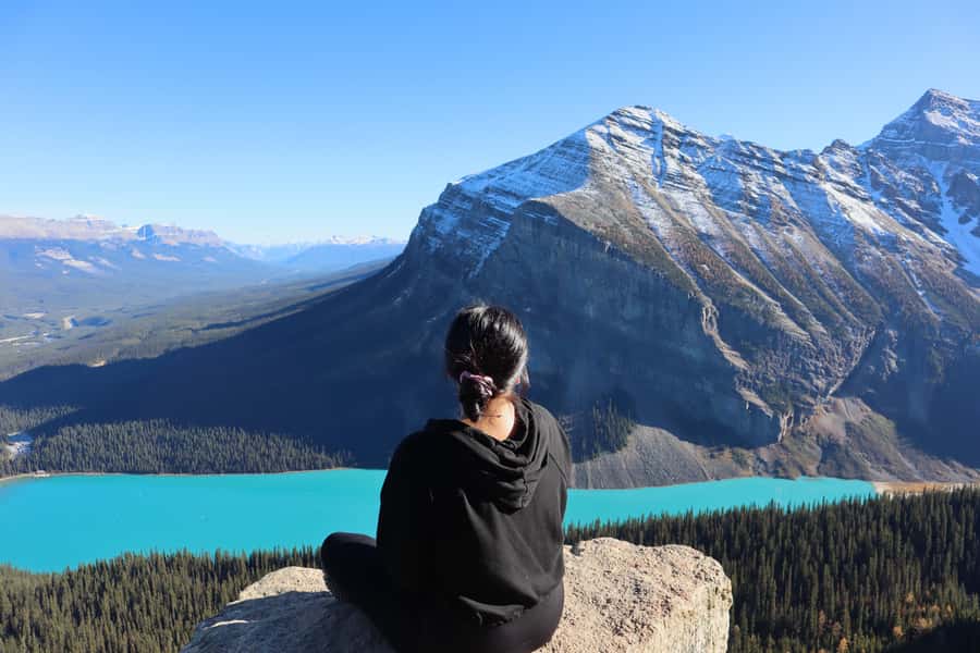 Explore Banff National Park & Lake Louise Day Trip - Wildlife spotting: how the tour maximizes your odds