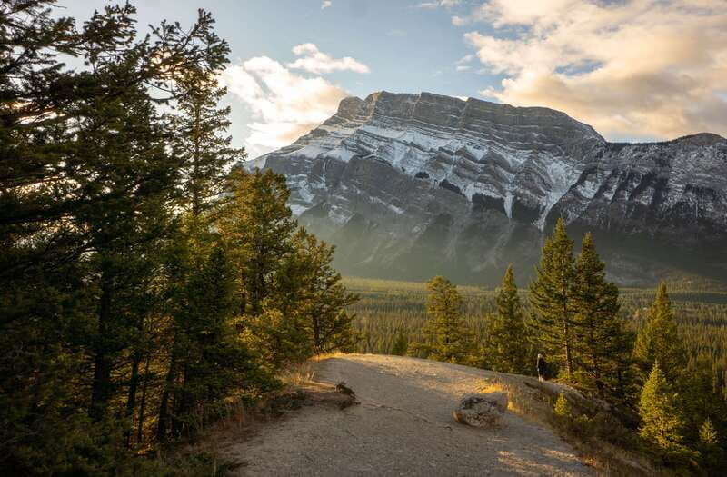 From Banff: Banff Wildlife & Scenic Highlights Premium Tour - Small-group comfort, big-window viewing, and real guide time