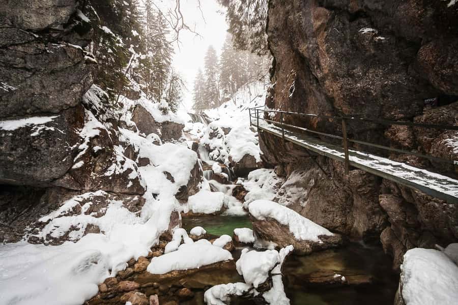 From Banff Guided Johnston Canyon Night Walk and Stargazing - Timing, Pickup, and How to Not Miss the Start
