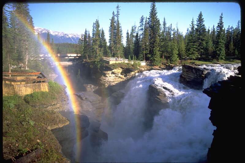 From Banff/Lake Louise: 1-Way Sightseeing Tour to Jasper - Glacier SkyWalk at the Columbia Icefield: the views you came for