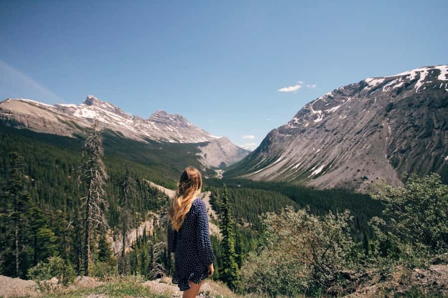 From Banff: Scenic Icefields Parkway Premium Guided Day Tour - The van experience: panoramic windows and small-group comfort
