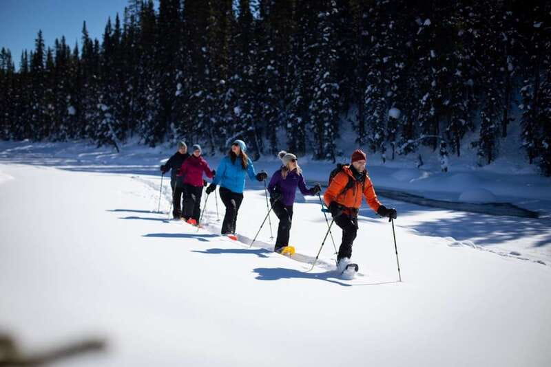 From Banff: Winter Wonderland; Lake Louise & Johnston Canyon - Price and Value: Why It Can Be Worth It at $175