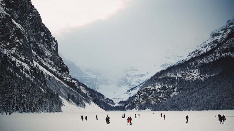 From Banff: Winter Wonderland; Lake Louise & Johnston Canyon - Snowshoeing on Quiet Trails: Powder Walking Without the Fight
